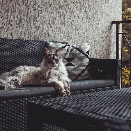 Klimatyzowane Sylwia Apartman