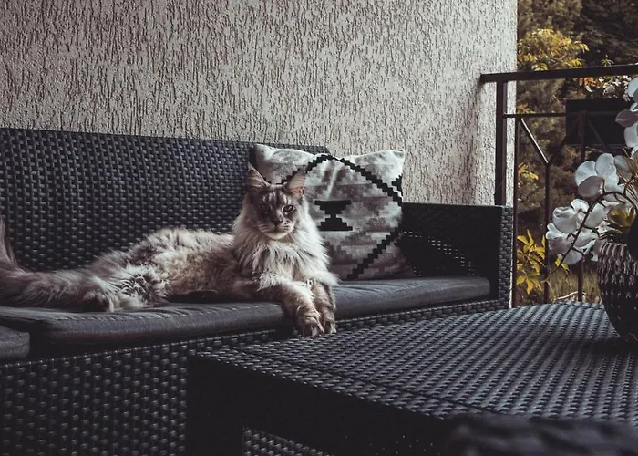 Klimatyzowane Sylwia Lägenhet