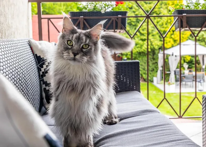 Klimatyzowane Sylwia Lägenhet *